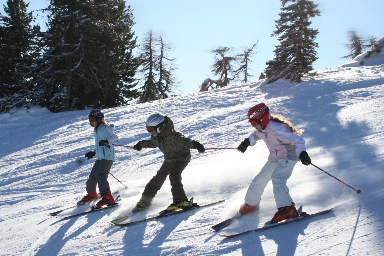 Chaletdorf-Fanningberg Weisspriach Esterno foto