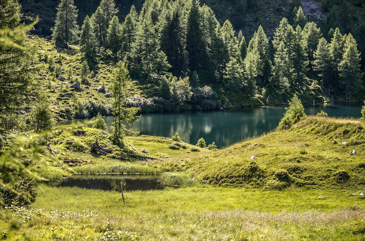 Chaletdorf-Fanningberg Weisspriach Esterno foto