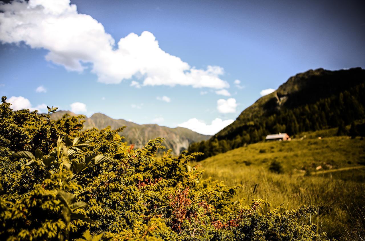 Chaletdorf-Fanningberg Weisspriach Esterno foto